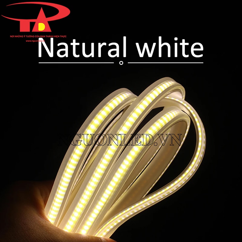 Đèn led cob cuộn 100m ánh sáng trung tính