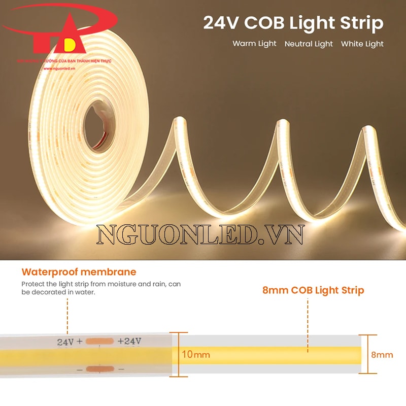 Dây led dán 24V cuộn 5m trắng