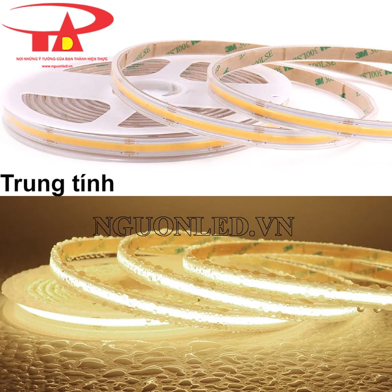 Dây led cuộn 5m 24V màu trung tính