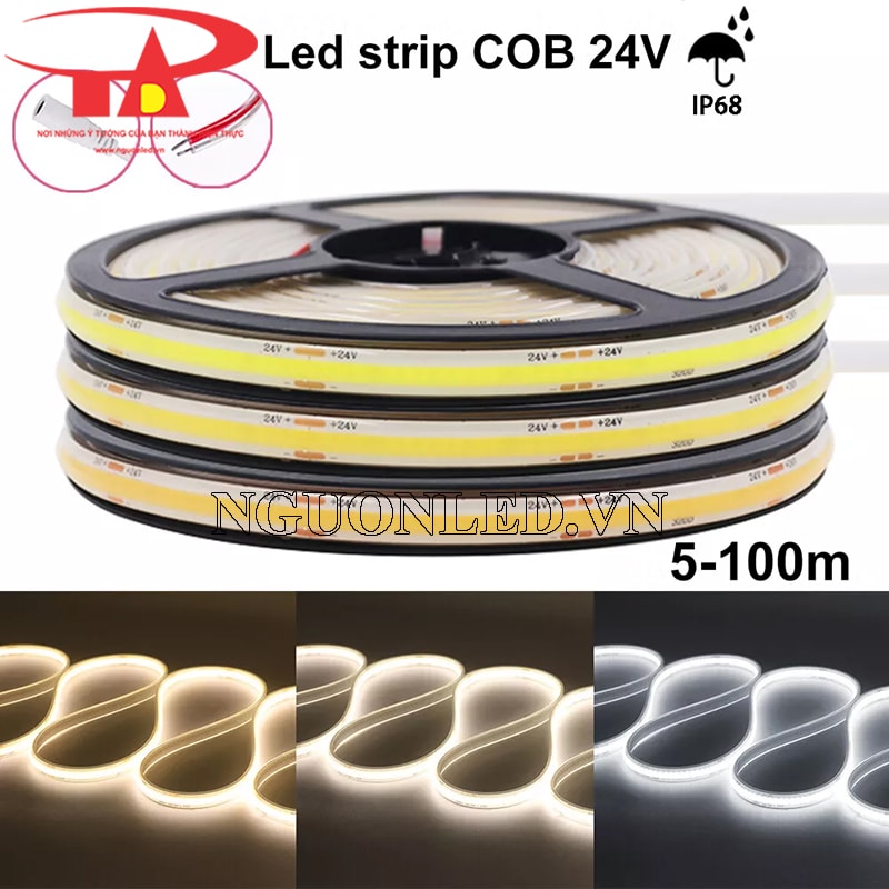 Dây led dán 24V cuộn 5m trung tính