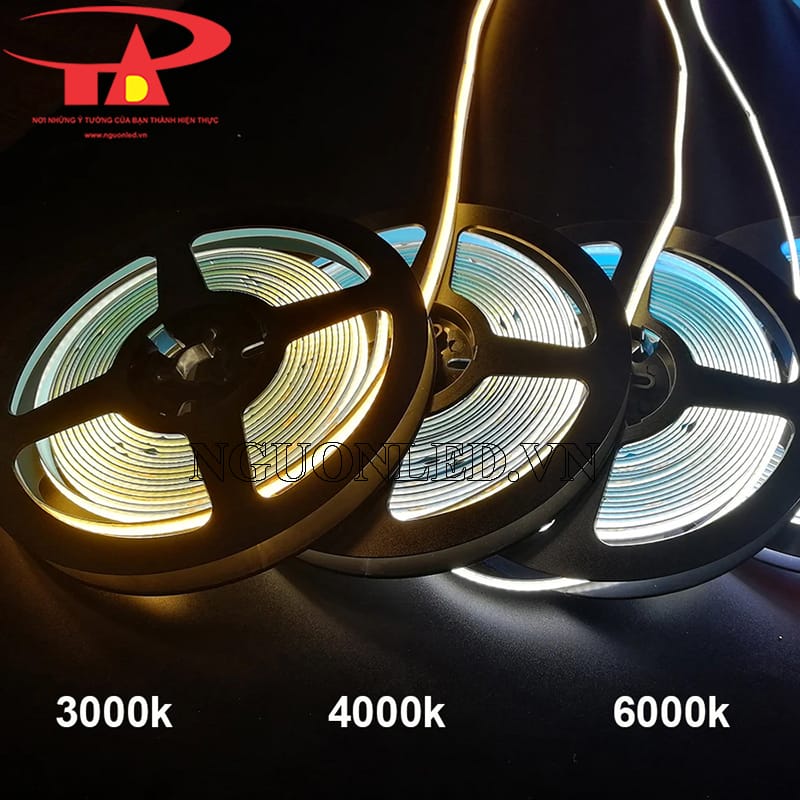 Dây led dán cob 24V cuộn 5m loại tốt