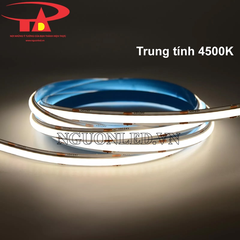 Dây led dán 24V cuộn 5m trung tính