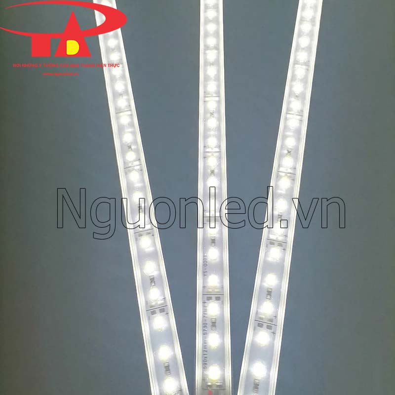 Led thanh nhôm 24vdc 2 hàng led. Nguonled.vn