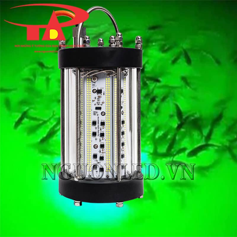 Ứng dụng đèn thả dụ cá 1000W tại Nha Trang