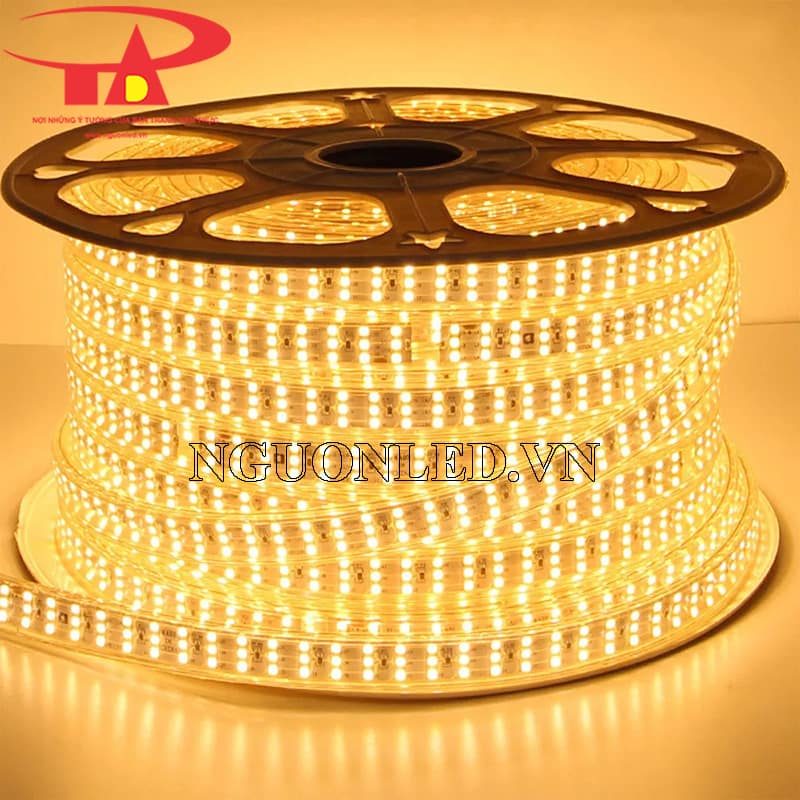 Dây led 2835 220v ba hàng ánh sáng vàng