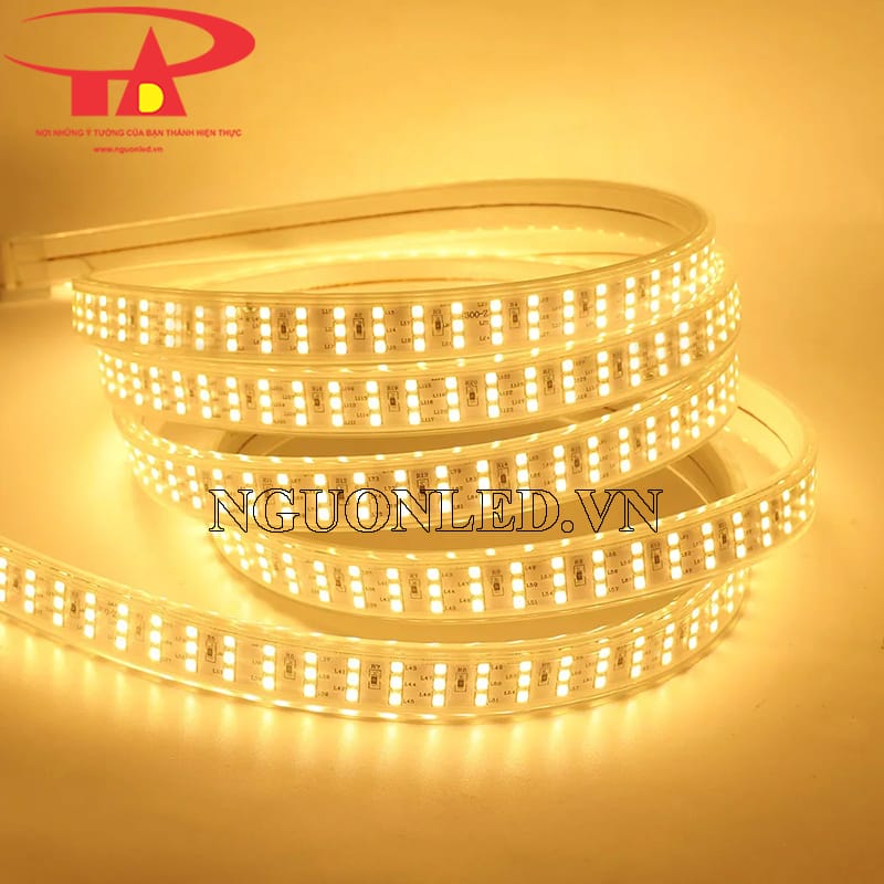 Led dây dẻo 220v ba hàng màu vàng