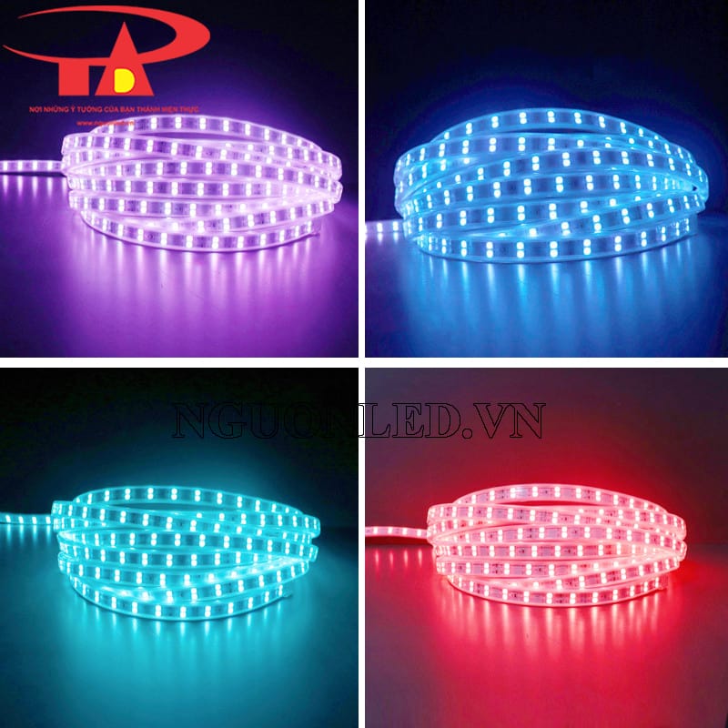 Đèn led dây 220v cuộn 100m siêu sáng