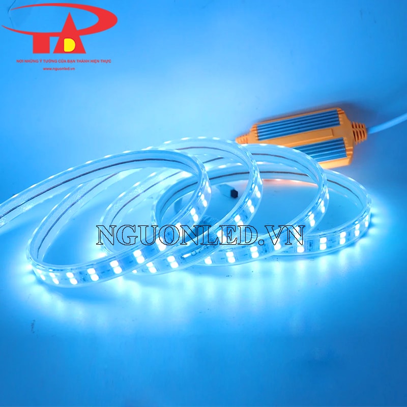 Đèn led dây 2835 hai hàng bóng màu xanh ngọc