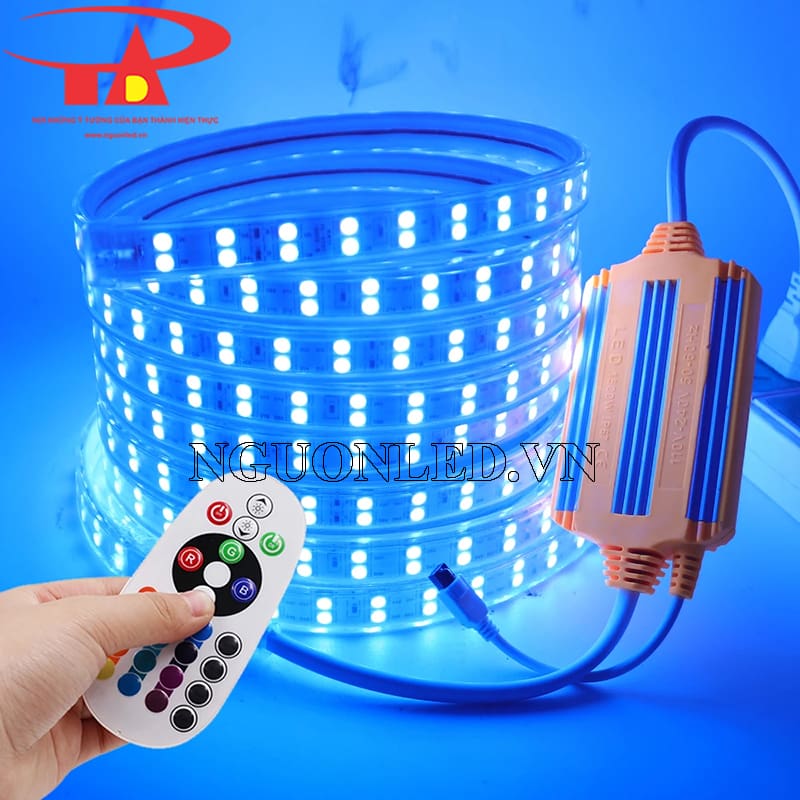 Led dây 2835 100m nhiều màu