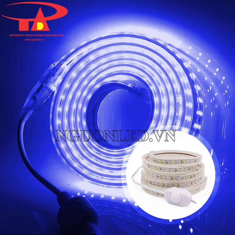 Đèn led dây 2835 2 hàng màu xanh dương