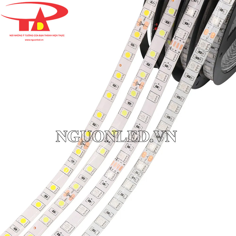 Đèn led dây 24v 5050 có keo