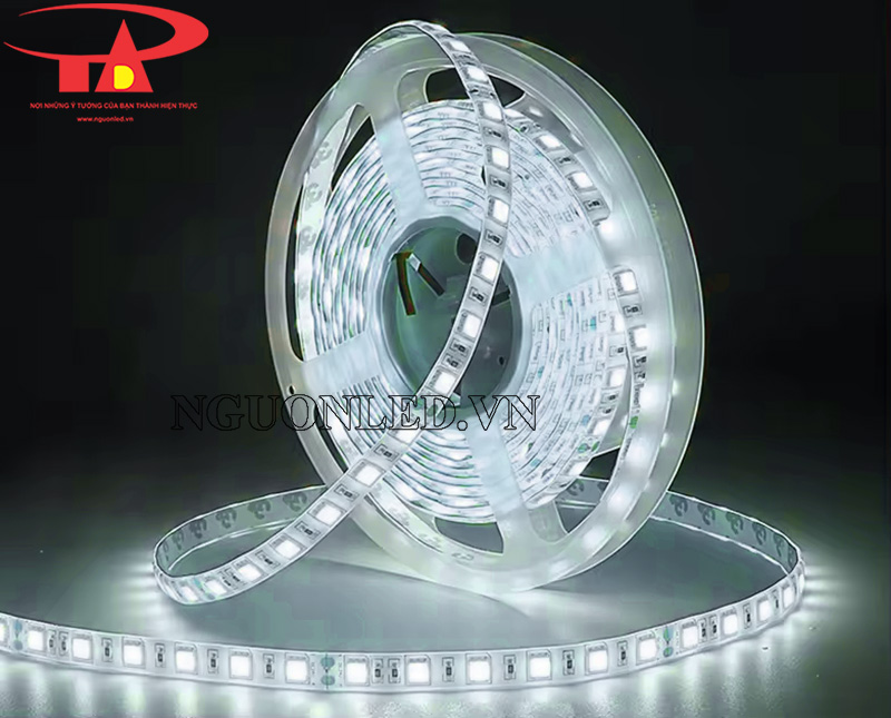 Dây led dán 12v chip 5050 ánh sáng trắng