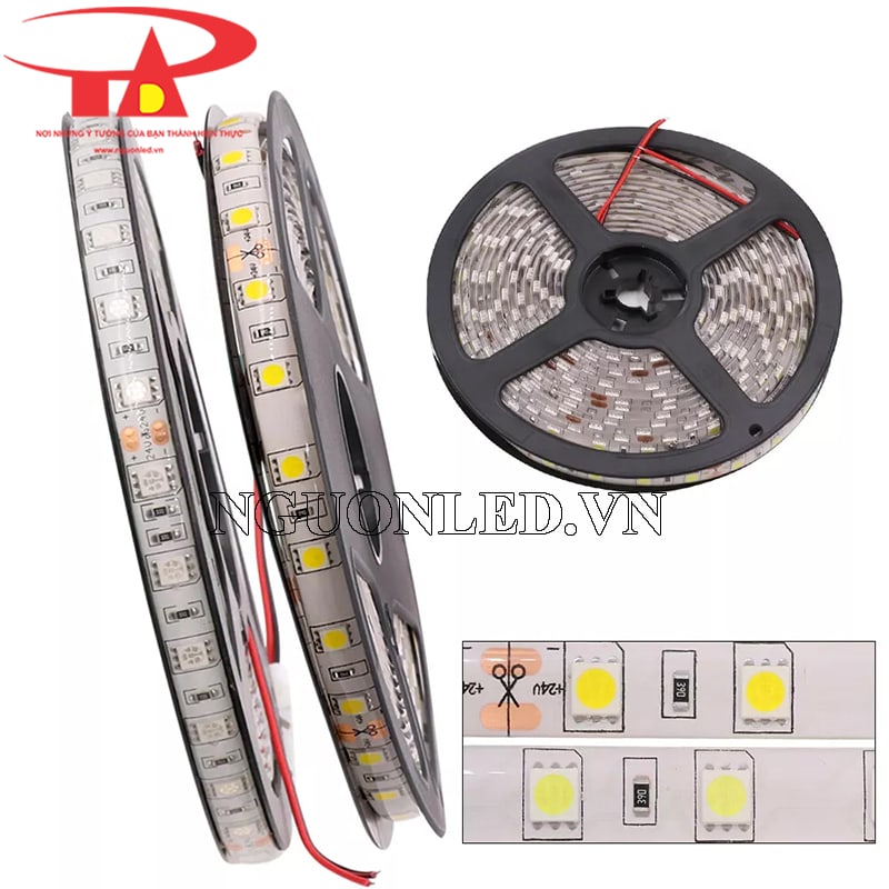 Dây led dán 5050 24v màu trắng