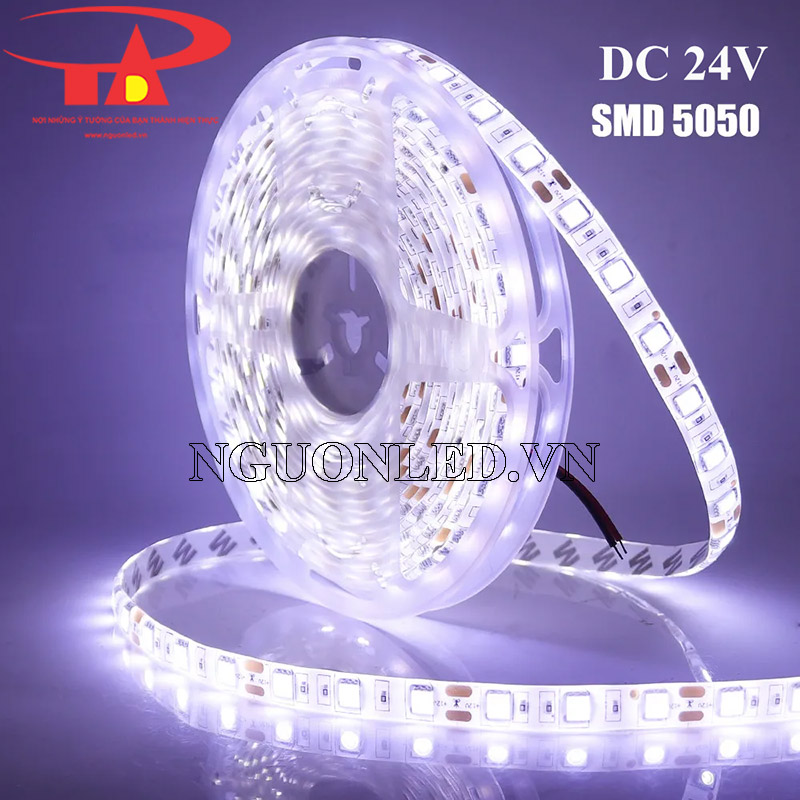 đèn led dây 24v 5050 màu trắng 