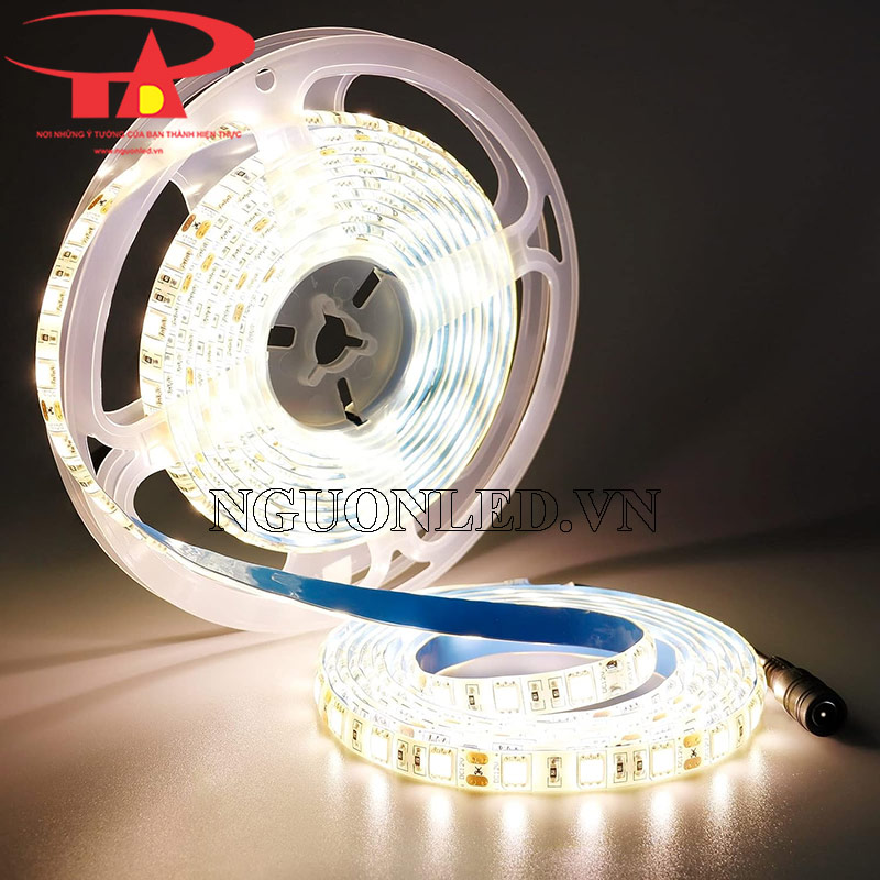 Dây led dán 24v 5050 màu vàng