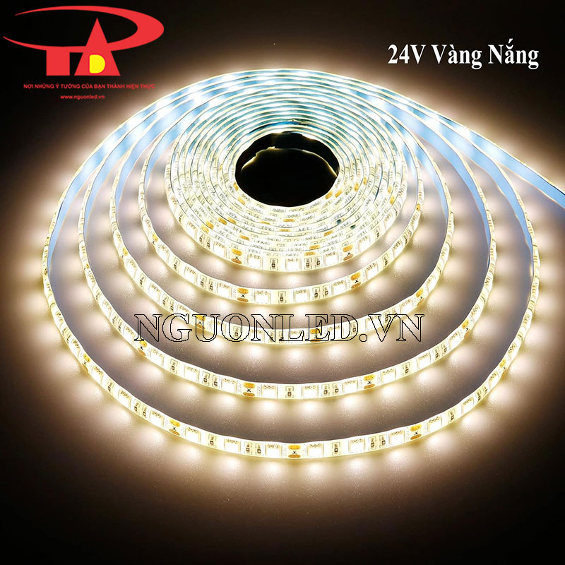 Đèn led dán 24v 5050 ánh sáng vàng