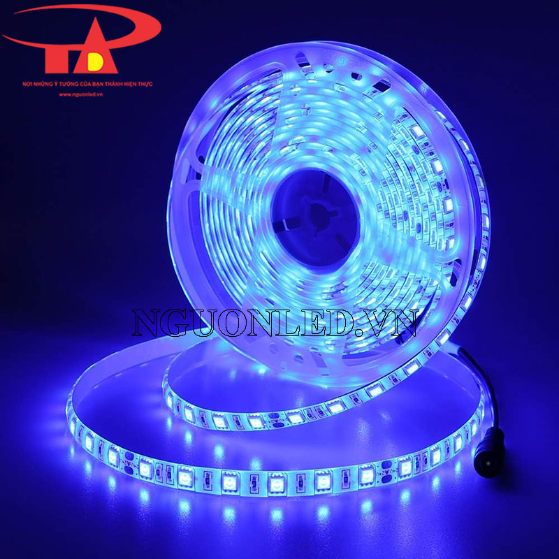 Đèn led dây 5050 màu xanh dương