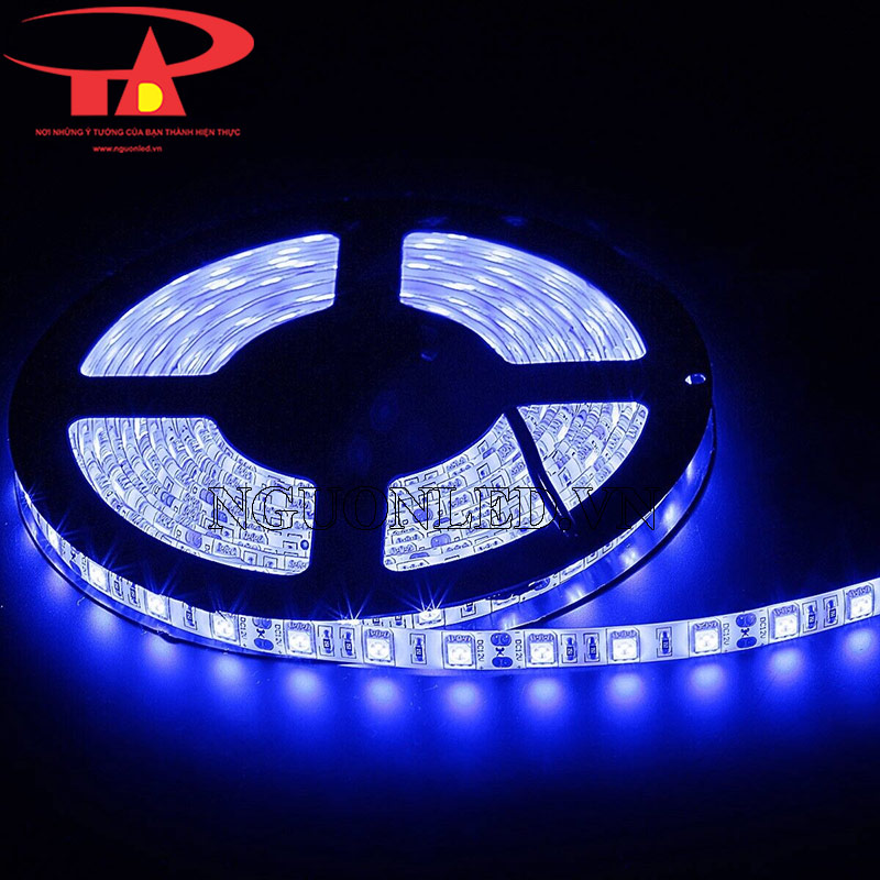 Led dây dán 24v 5050 màu xanh dương