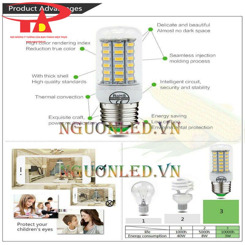 đèn led trang trí ngoài trời