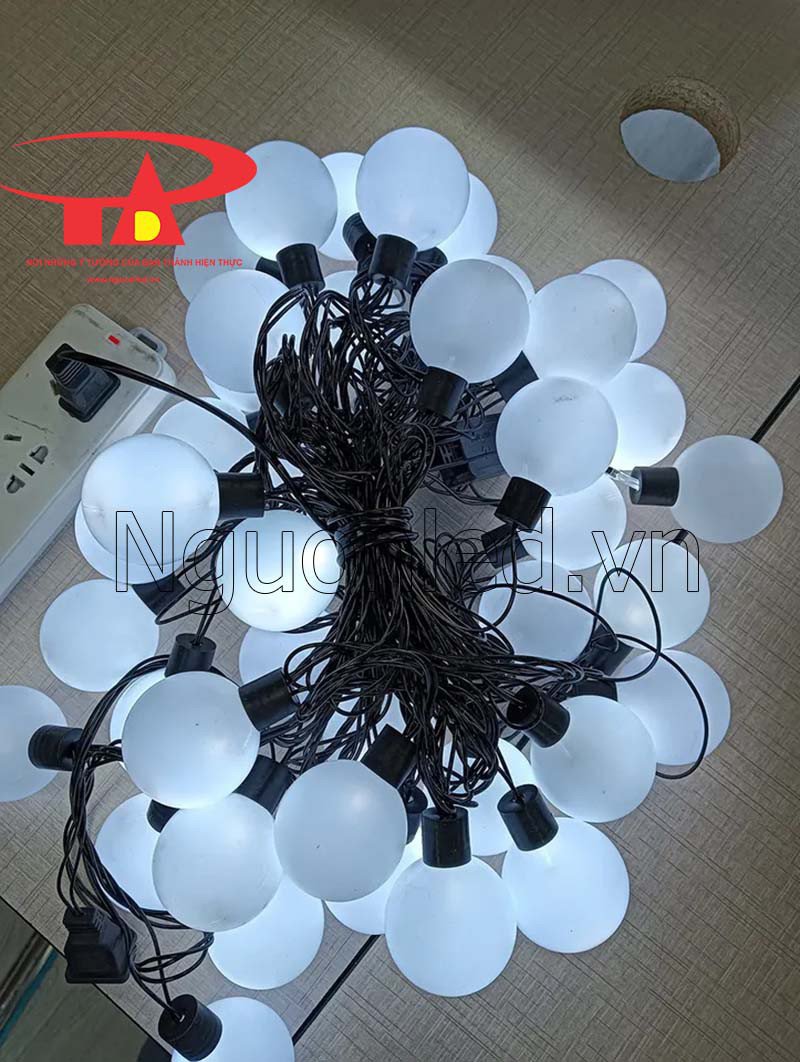 Dây đèn led bi đục tròn 5m 20 bóng ánh sáng trắng