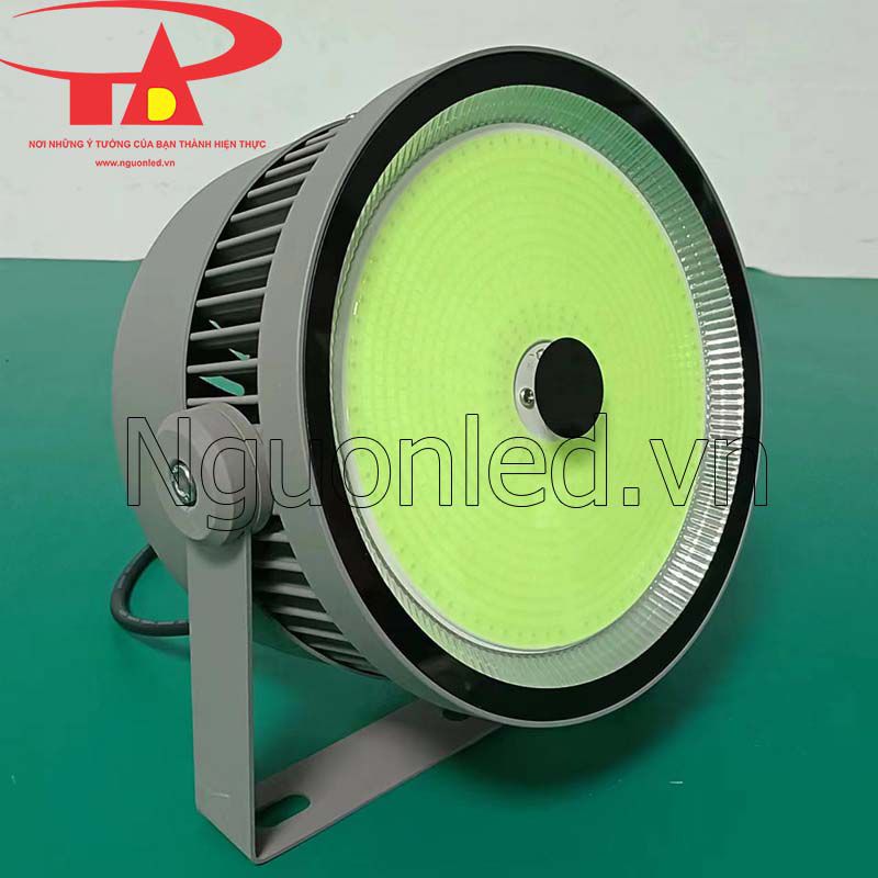 Đèn đánh bắt cá 800w