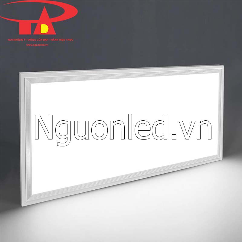 Bán đèn panel 300x600 tại HCM