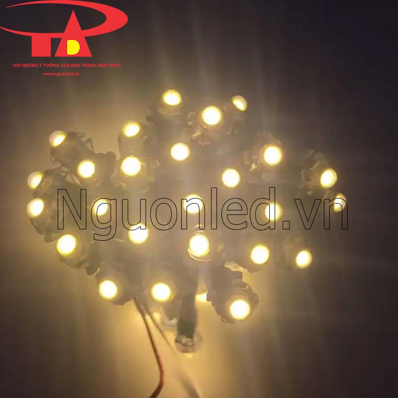 Led đúc f5 12v màu vàng nắng