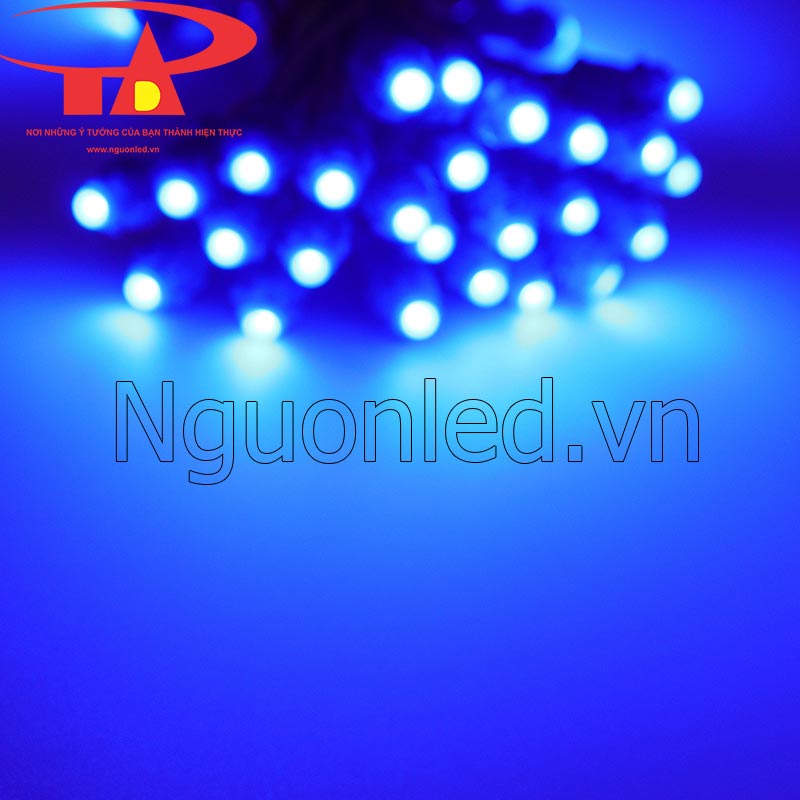 Led đúc f5 12v màu xanh dương