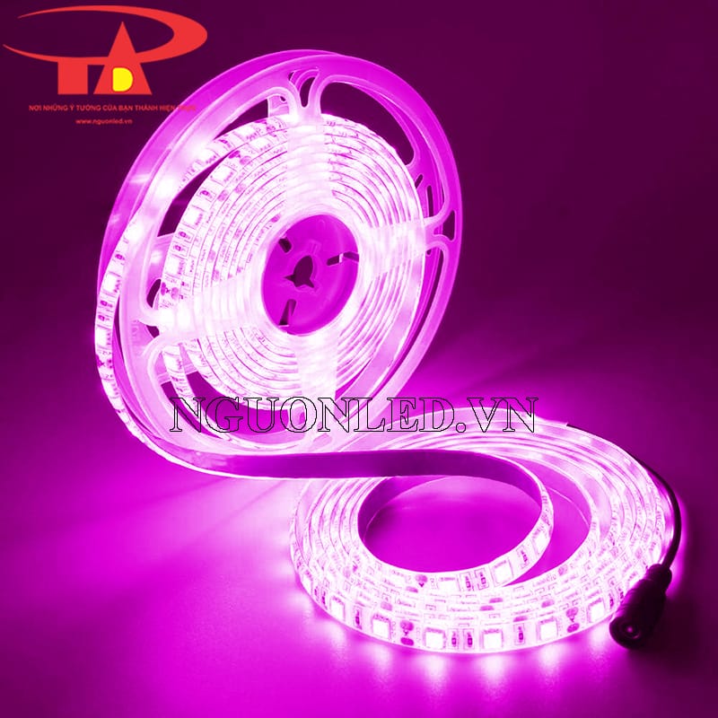 Đèn led dây 12v màu hồng có keo