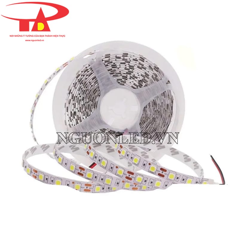 Led dây dán 12v 5050 không keo