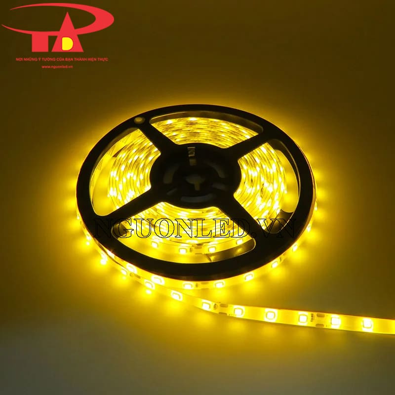 Led cuộn 5m màu vàng đậm