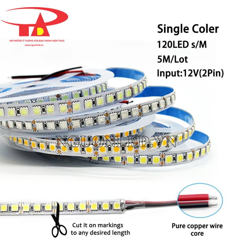 Led dây dán 12v 120 led