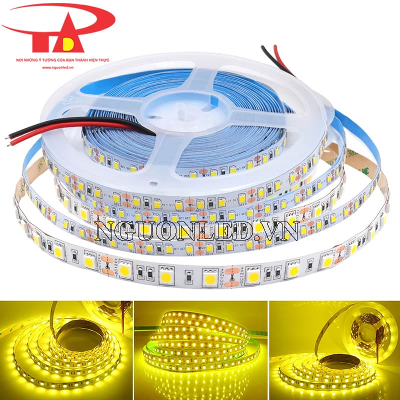 Dây led dán 12v 5m vàng chanh