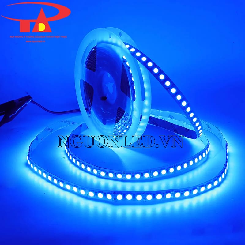 Đèn led dây 5m 5050 xanh dương