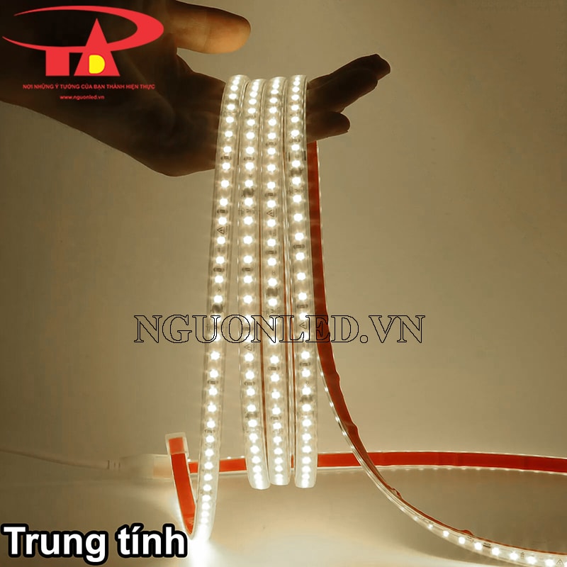 Đèn led dây 220V màu trung tính