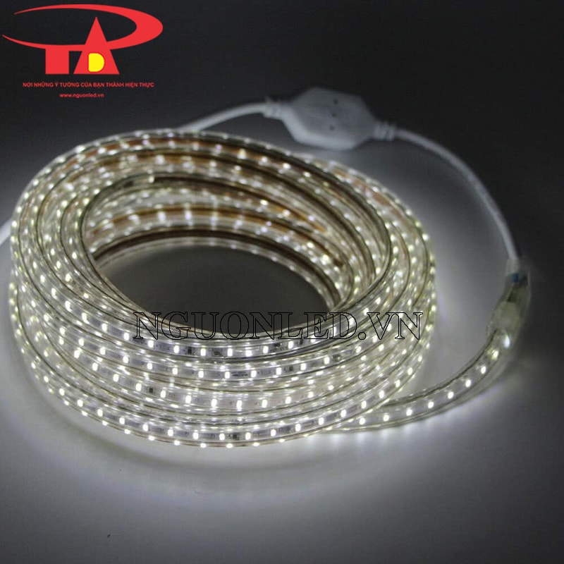 Đèn led dây 220v cuộn 100m màu trắng