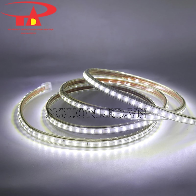 Led cuộn 3014 220v 100m ánh sáng trắng