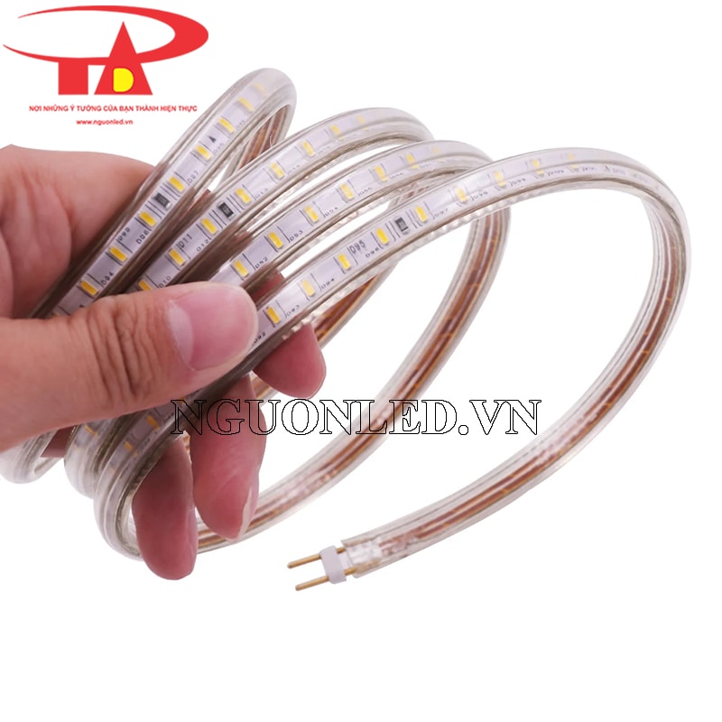 Đèn led dây 220v cuộn 100m loại tốt