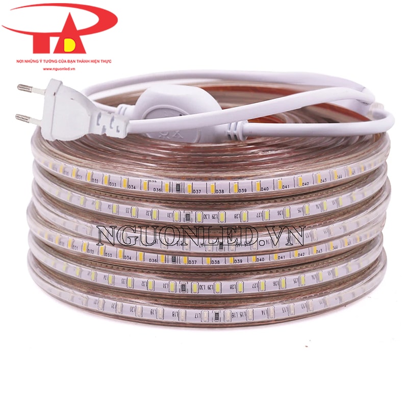 Đèn led dây 3014 cuộn 100m