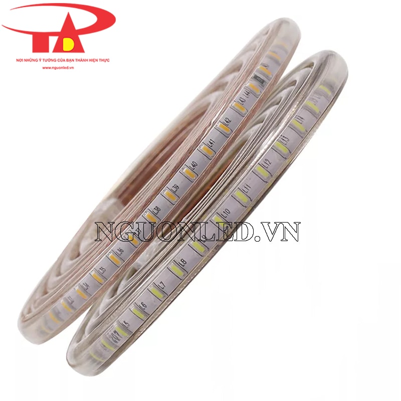 Đèn led dây 220v cuộn 100m giá rẻ