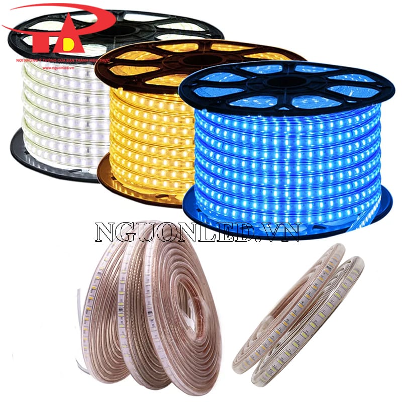 Led cuộn 100m 220v siêu sáng