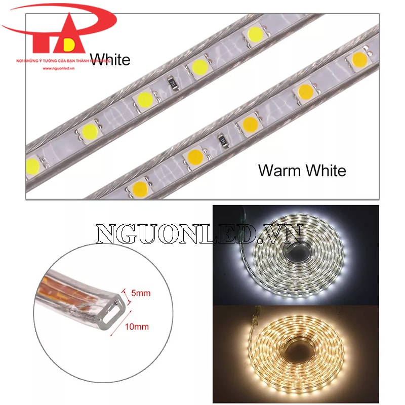 Đèn led dây dẻo 220v cuộn 100m chip 5050