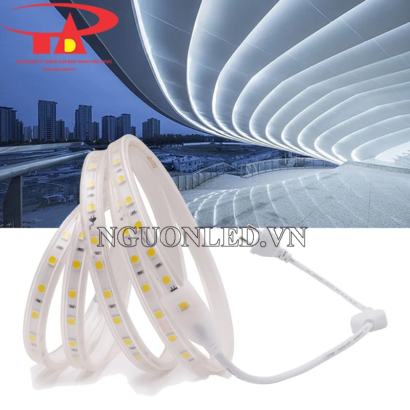 Led cuộn 5050 220v 100m ngoài trời