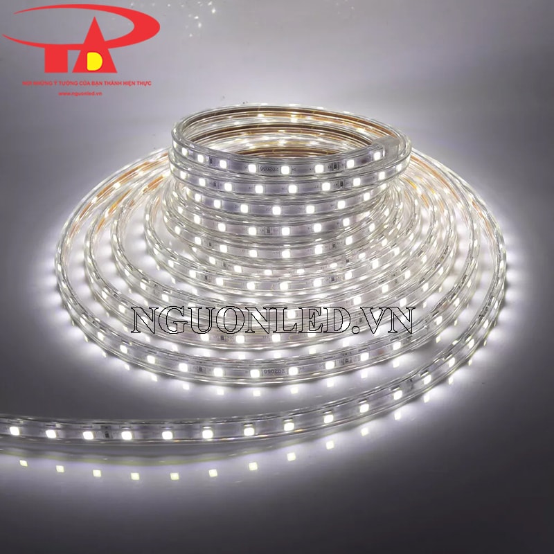 Dây led cuộn 100m 220v màu trắng