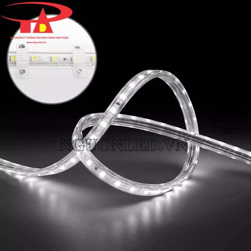 Dây led cuộn 5050 dài 100m màu trắng