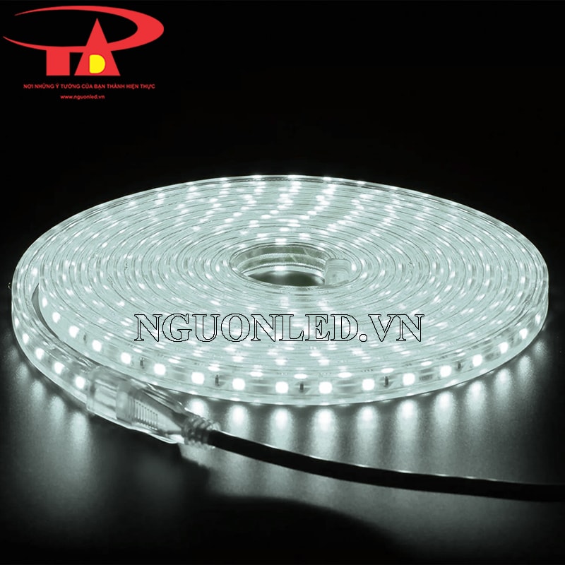 Led cuộn 5050 220v ánh sáng trắng