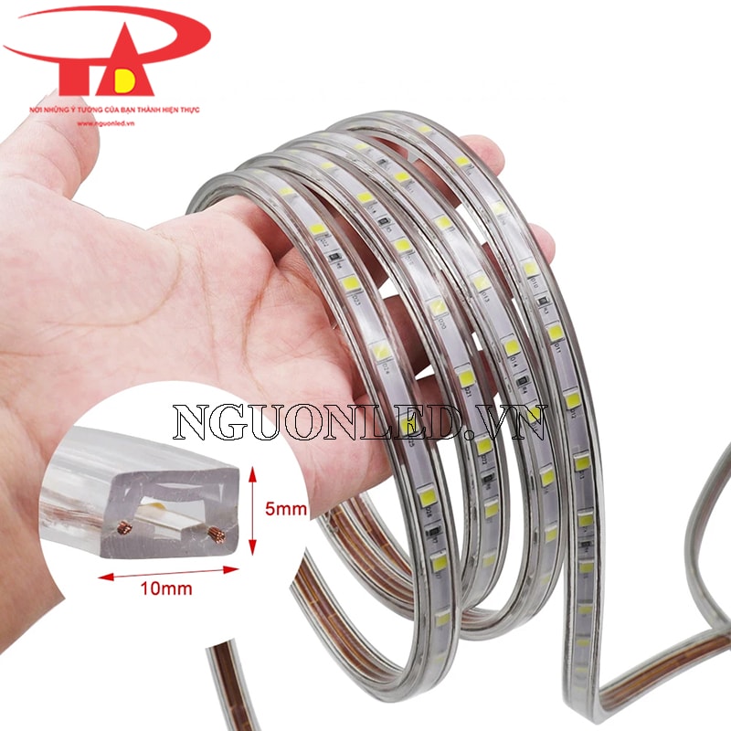 Đèn led dây 220v cuộn 100m giá rẻ