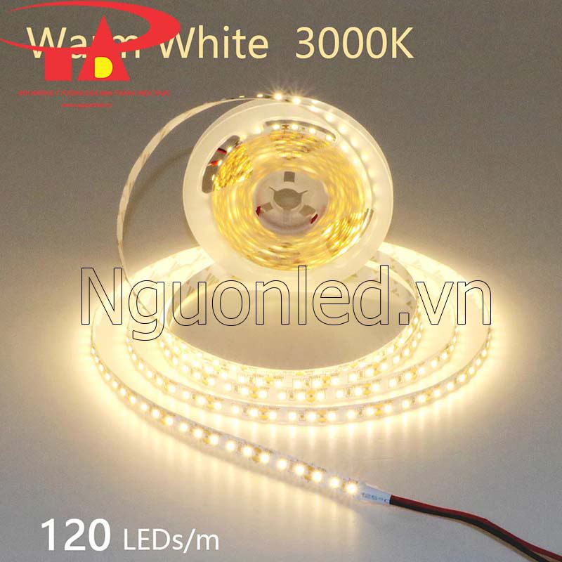 Đèn led dây korea 12v 2835 120 led/m màu vàng