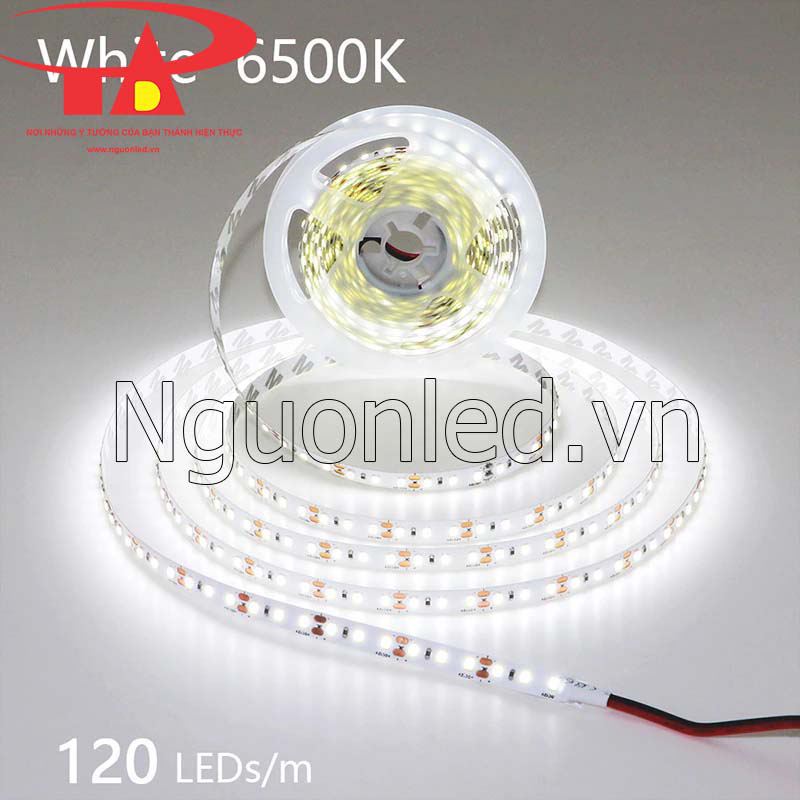 Led dây Samsung 12v 2835 120 led/m màu trắng