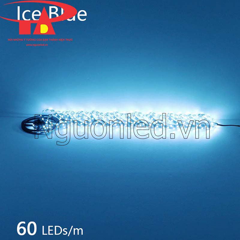 Dây led dẻo 12v màu xanh ngọc